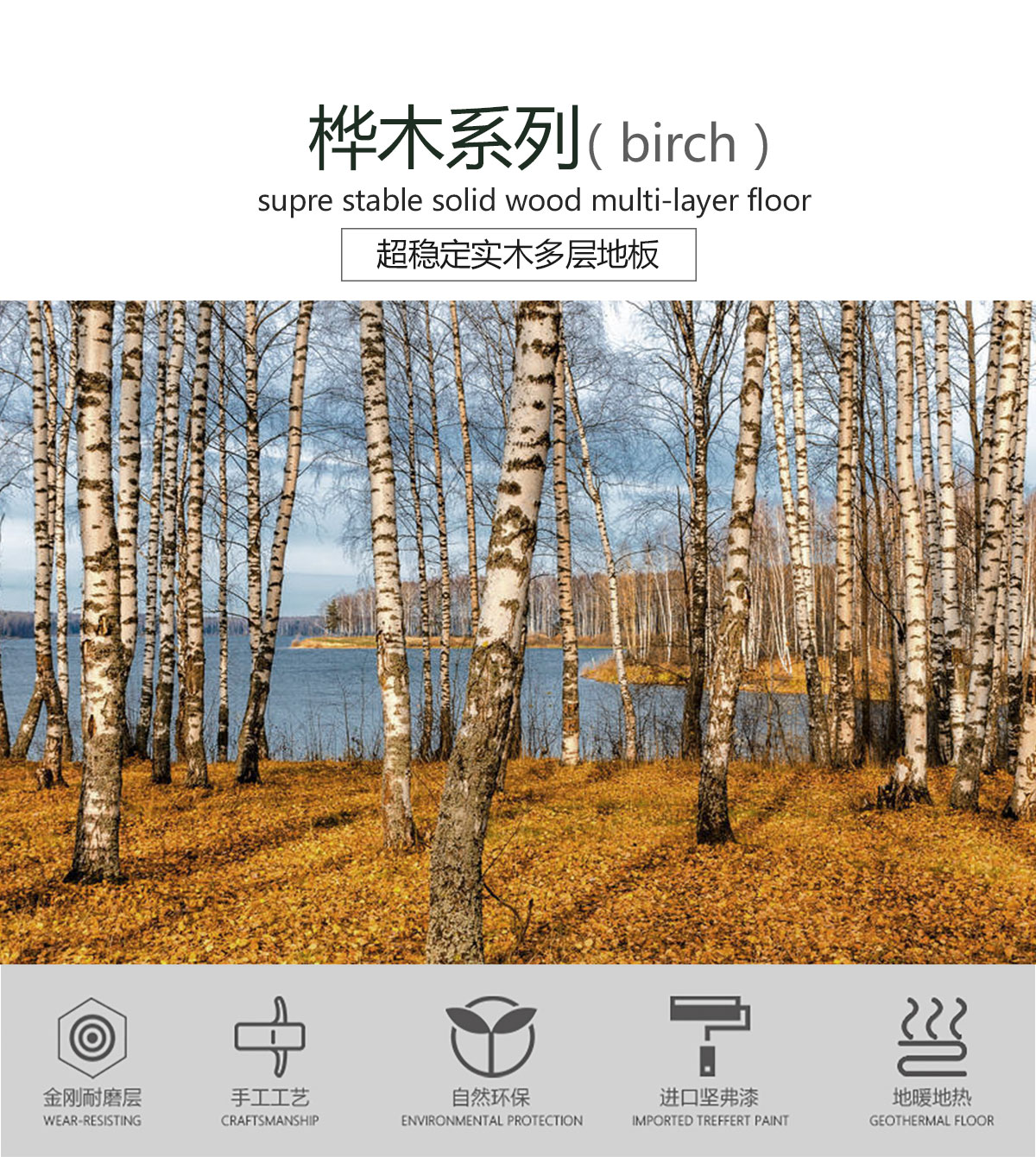 FG2022樺木（盧浮秋韻）產(chǎn)品特點(diǎn)_01.jpg