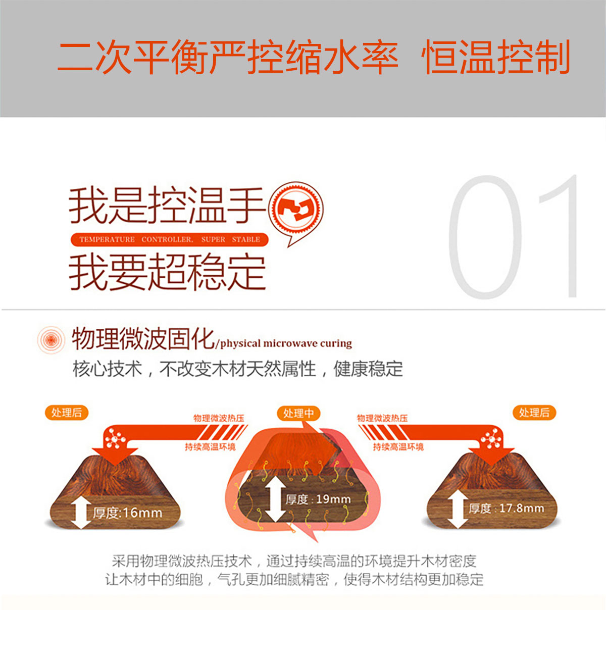 圓盤豆001產品特點_02.jpg