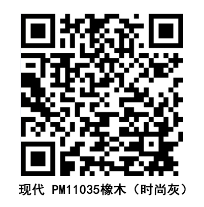 現(xiàn)代PM11035.jpg